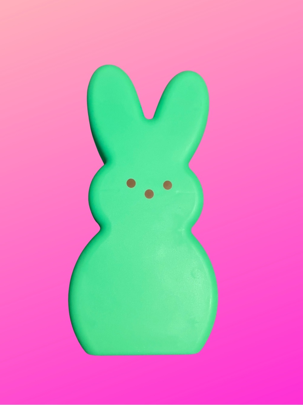 LED peeps decorative light